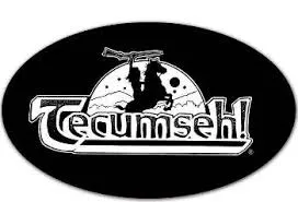 tecumsehdrama.com