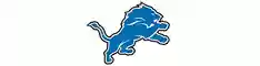 shop.detroitlions.com